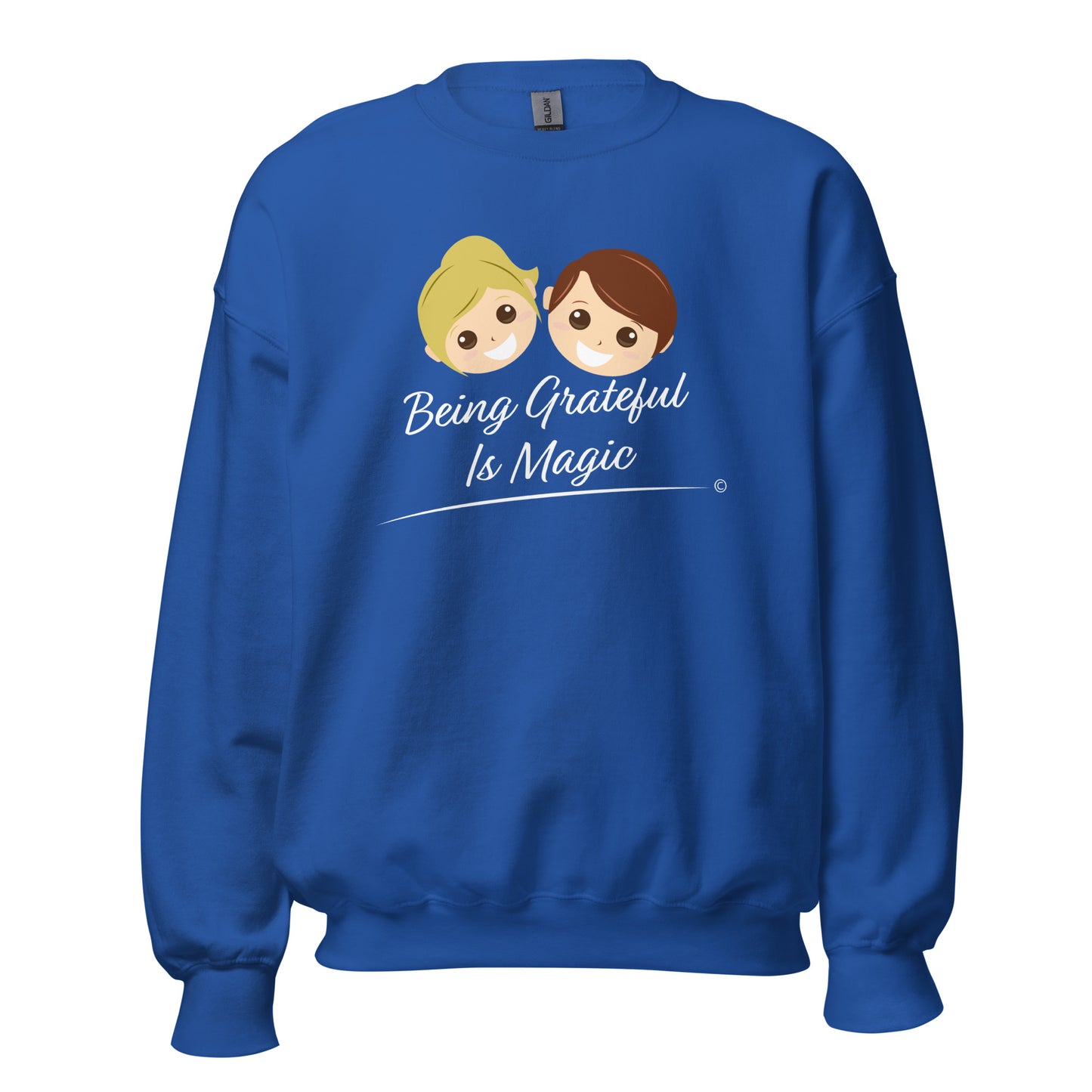 Lightweight cotton sweatshirts- Royal Pullover